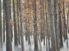 -东湖落雁景区