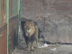 -新疆天山野生动物园