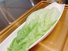 生菜-海底捞火锅(龙岗星河COCO Park店)