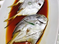 -顺风海鲜港(金玉兰店)