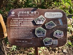 -华侨城湿地公园