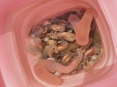 -秦皇岛秦皇国际大酒店