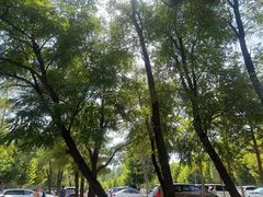 -秦皇岛野生动物园