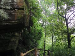 -碧峰峡风景区