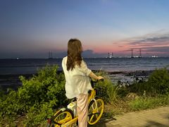 -宝安西湾红树林湿地公园