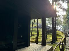 -玉苍山国家森林公园