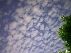 -山里人家花椒鸡(钢城店)