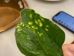 -京门老爆三(回龙观店)