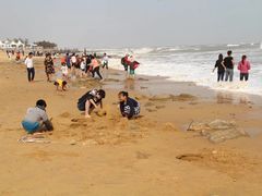 -日照世帆赛基地