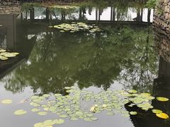 -南北湖风景区