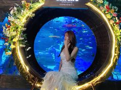 -沈阳海洋探索中心