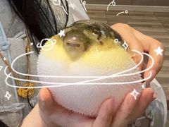 -肆月河豚·淮扬菜·湘菜(华天店)