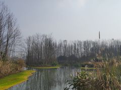 -桤木河湿地公园