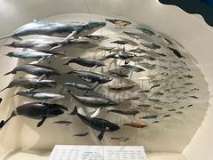 -浙江自然博物院(杭州馆)