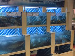 -野渡坡·极致湘菜·庭院餐厅(汉阳店)