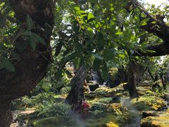 -Chom Cafe and Restaurant