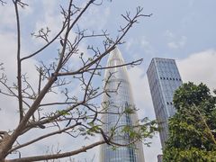 -深圳人才公园
