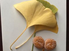 -国家会议中心大酒店