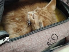 -全心全意连锁动物医院(加州店)