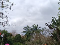 -海南热带野生动植物园