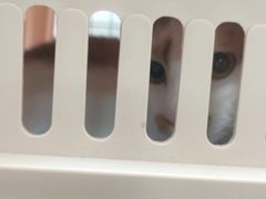 -良伴无忧宠物医院(泰欣嘉园店)