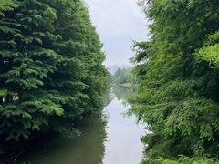 -昆山城市生态森林公园