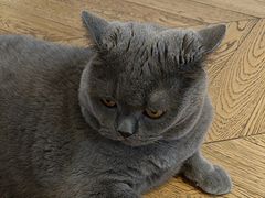 -Me Coffee下午茶艺术空间