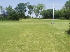 -上海崇明金茂凯悦酒店