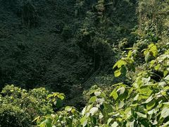 -海口火山口国家地质公园