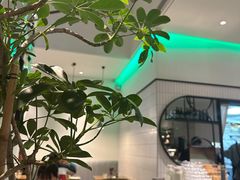 -gaga(深圳南山益田假日广场店)