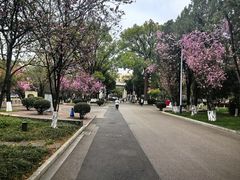 -云南师范大学(一二一西南联大校区)