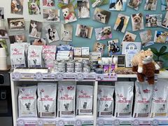 -爱妮康宠物医院·干细胞免疫细胞·肿瘤·心脏(张江店)