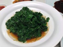 -蝶园·装修中(BFC外滩金融中心店)