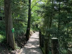 -凤栖山