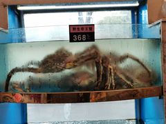 -启东海鲜人家(古美路店)