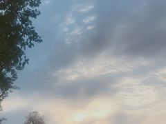 -苹果花园(金耀南路店)