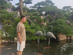 -罗红摄影艺术馆