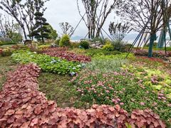 -东钱湖旅游度假区