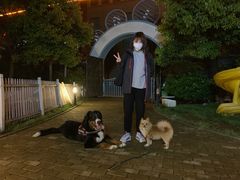 -奈斯宠物医院·核磁CT·异宠专科·内镜(中南店)