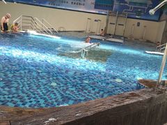 -龙更泉活水馆