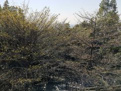 -龙头山森林公园·停车场