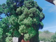 -四门塔风景区