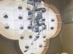 -长风拨筋养身(蟠龙天地店)