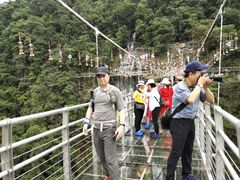 -九龙江国家森林公园