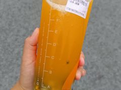 -CoCo都可(江宁托乐嘉店)