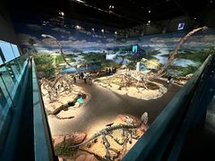 -自贡恐龙博物馆