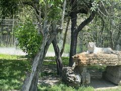 -上海野生动物园