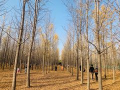 -汉景帝阳陵博物院