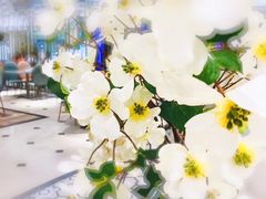 -大树餐厅(益田假日店)