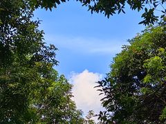 -福建鲤鱼洲酒店